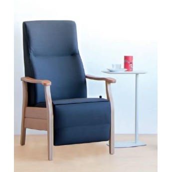 Fauteuil fixe Boreal