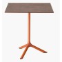 Table Tripe
