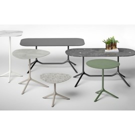 Table Tripe