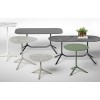 Table Tripe