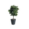 Plante verte artificielle manguier