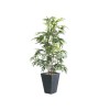 Plante verte artificielle bambou